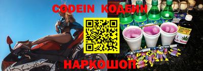 индика Кингисепп