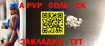 индика Кингисепп