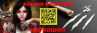 индика Кингисепп