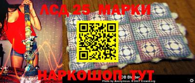 индика Кингисепп