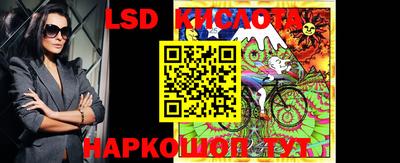 индика Кингисепп