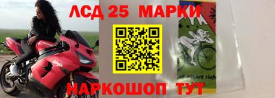 индика Кингисепп