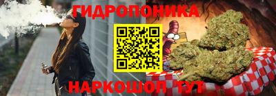 индика Кингисепп
