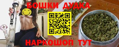 индика Кингисепп