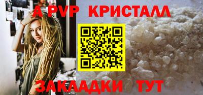 индика Кингисепп